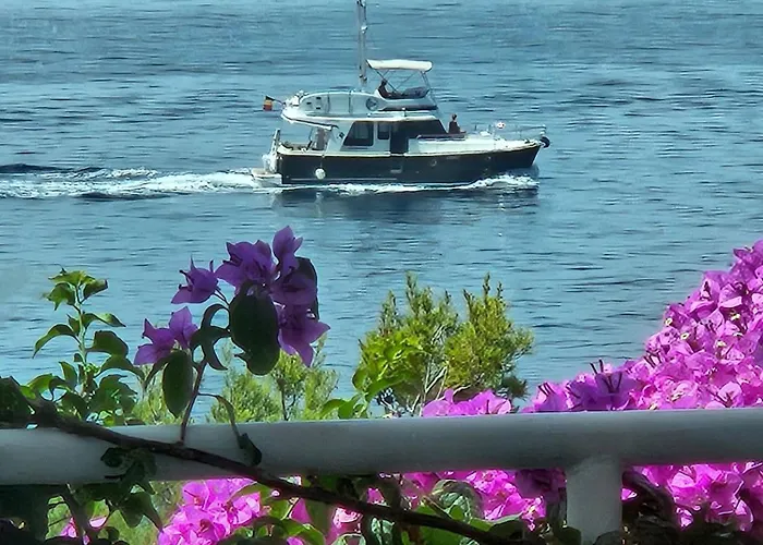 Apartamento Branka *