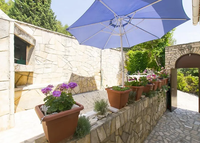 Apartment Branka Murter